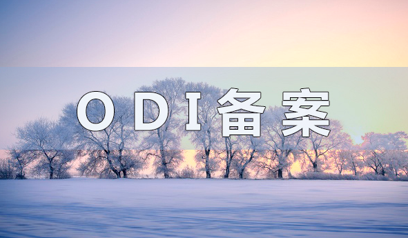 VIE架構(gòu)搭建